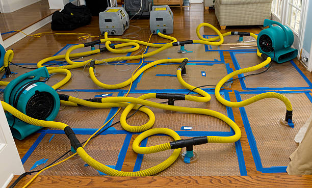 Professional Basement Flood Cleanup technician working in Malakoff, TX